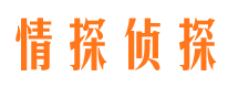 凌云找人公司